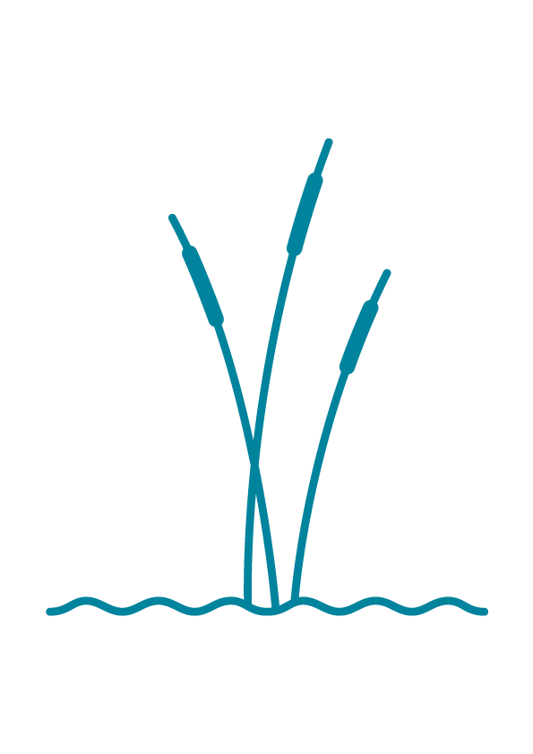 Ecoaqua