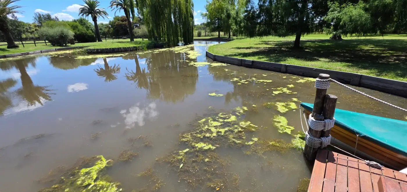 Laguna con algas flotantes junto a un muelle antes del mantenimiento