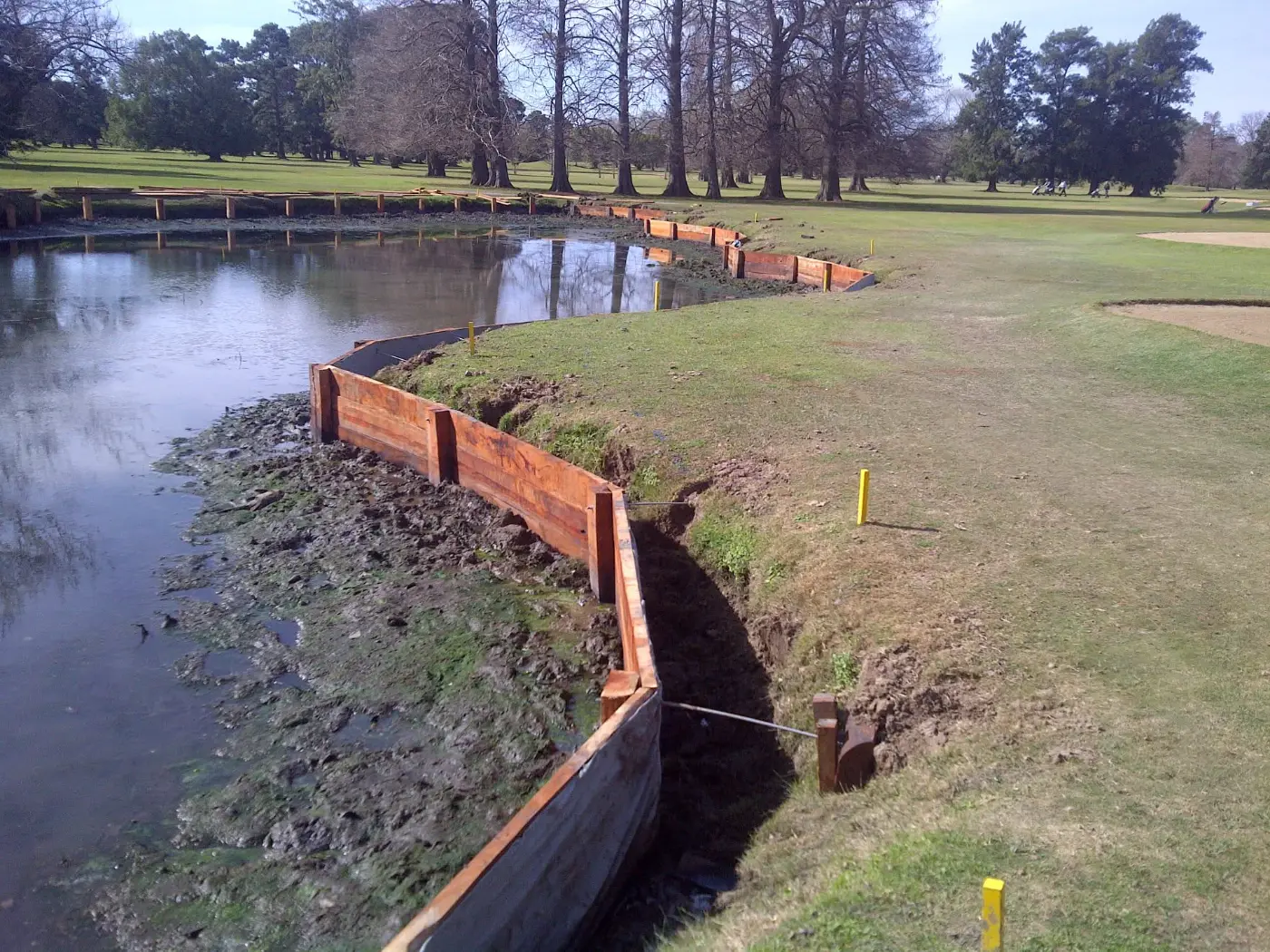 Costa de un lago en una cancha de golf protegida con tablestacado de madera